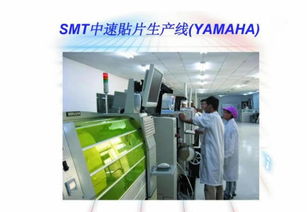 东莞市横沥裕盈兴塑胶电子厂 专业生产节庆用品与通讯设备的领先企业